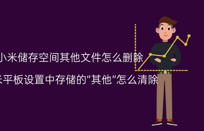 小米储存空间其他文件怎么删除 小米平板设置中存储的“其他”怎么清除？